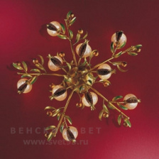 Потолочный светильник Bellart 1640/PL10L 0203