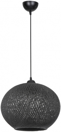 Подвесной светильник Lizbeth TL1612H-01BK фото 1